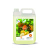 LIQUIDE VAISSELLE SENTEUR CITRON (5L)