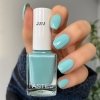 PASTEL - VERNIS A ONGLE 313 (13ML)